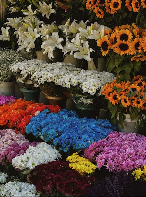 An array of freshly cut flowers displayed in a flower shop, featuring white lilies with elegant, large petals situated behind a variety of colourful chrysanthemums and daisies. The flowers include bri