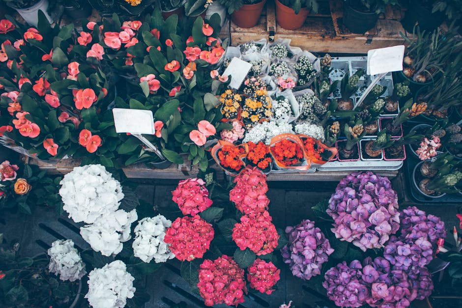 An outdoor display of various flowering plants arranged on wooden tables, featuring vibrant red, pink, purple, and white blossoms. The arrangement includes potted plants and bouquets with lush, health